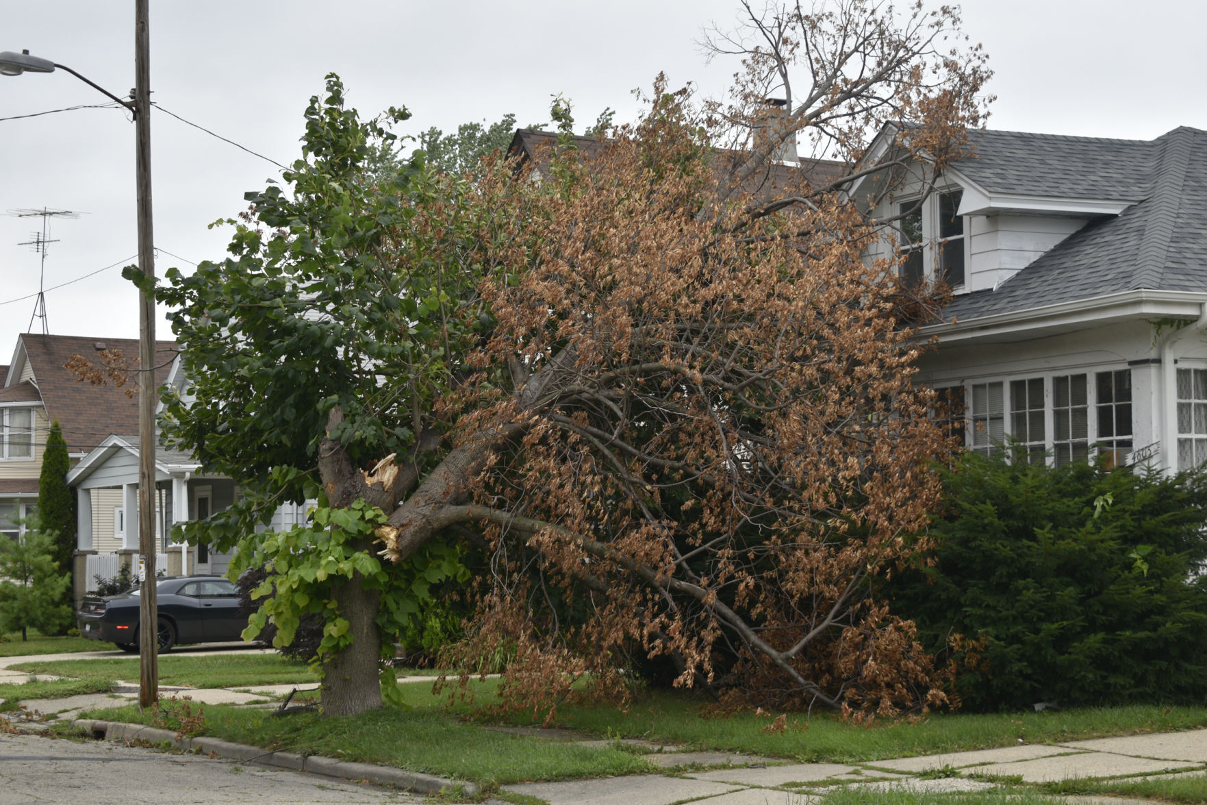 Kenosha